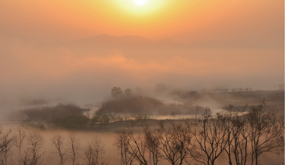 家乡的早晨