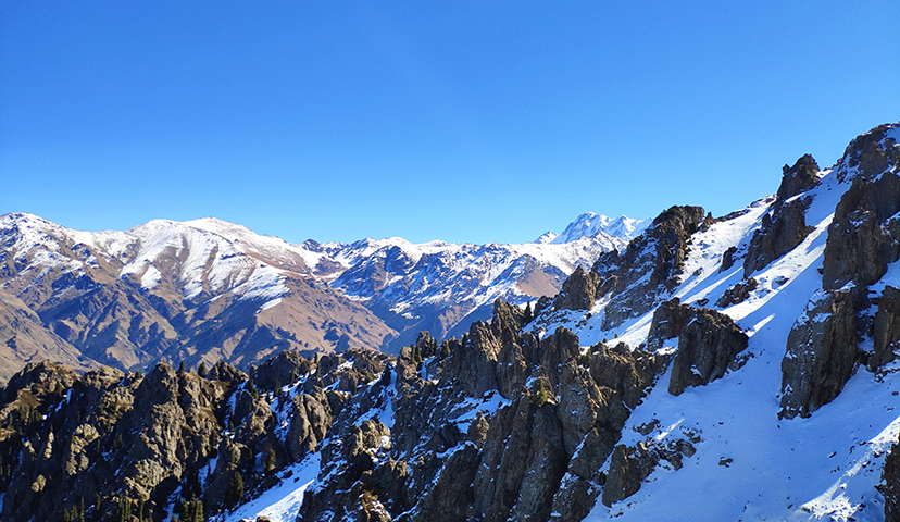 青山原不老，为雪白头。